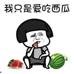 吃娱乐圈的瓜吗,揭秘明星幕后故事与精彩瞬间