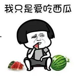 娱乐吃瓜酱专属梗是什么,网络热词背后的趣味与智慧