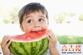 娱乐吃瓜呆头鹅