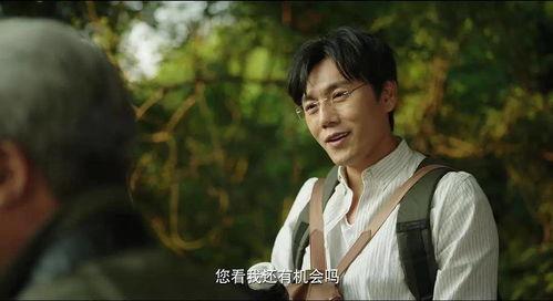 人类吃瓜娱乐圈小说,揭秘明星幕后生活